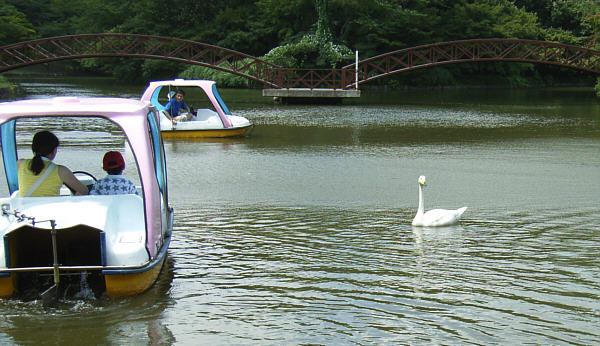 白鳥の湖